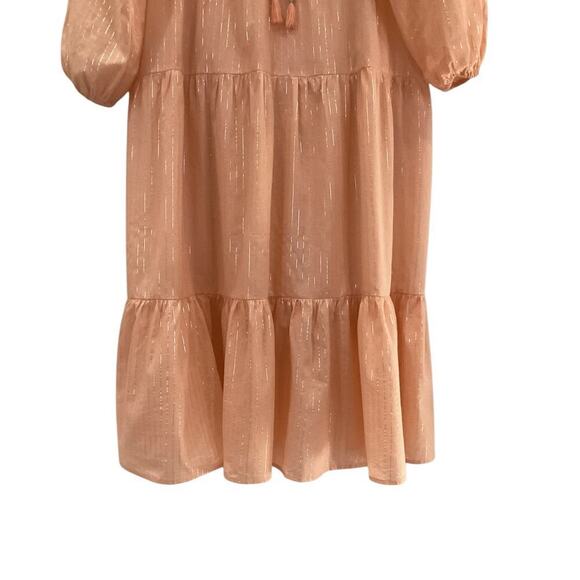 Emerson Fry India Collection Heirloom Dress Peach Silver Lurex Size XS Small - Picture 8 of 16